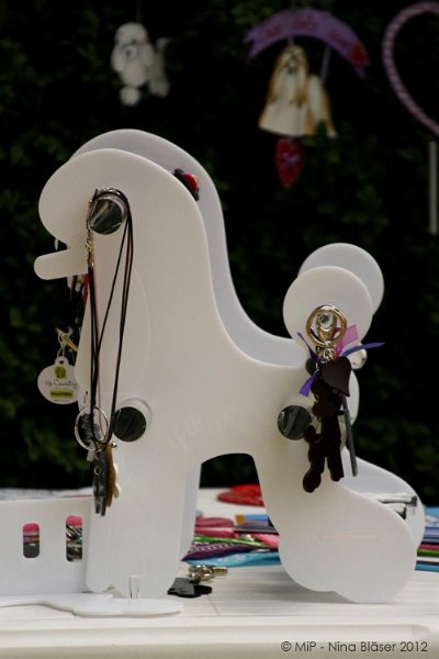 2012-07-01 B & B - Bedlington & Bichon Fun Day (100)_1000x1500.jpg